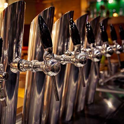pivo